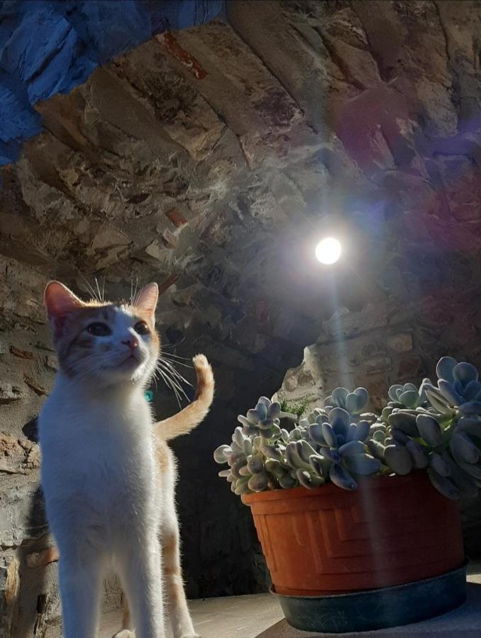 Tenuta Il Giardino Di Eros Albanella Zewnętrze zdjęcie